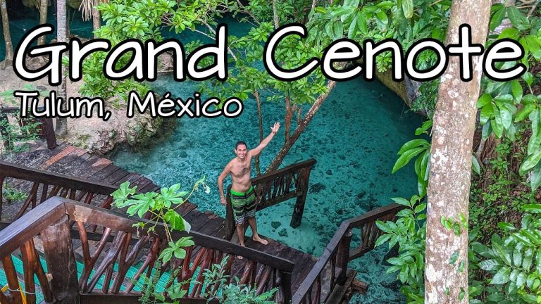 Descubre el paraíso oculto: Gran Cenote Tulum – La joya natural más impresionante cerca de tu hogar en México